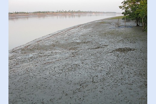 Viaggio in India 2008 - Sunderbans